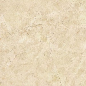 Gạch lát sàn Trường Thịnh MATT STONE V61003